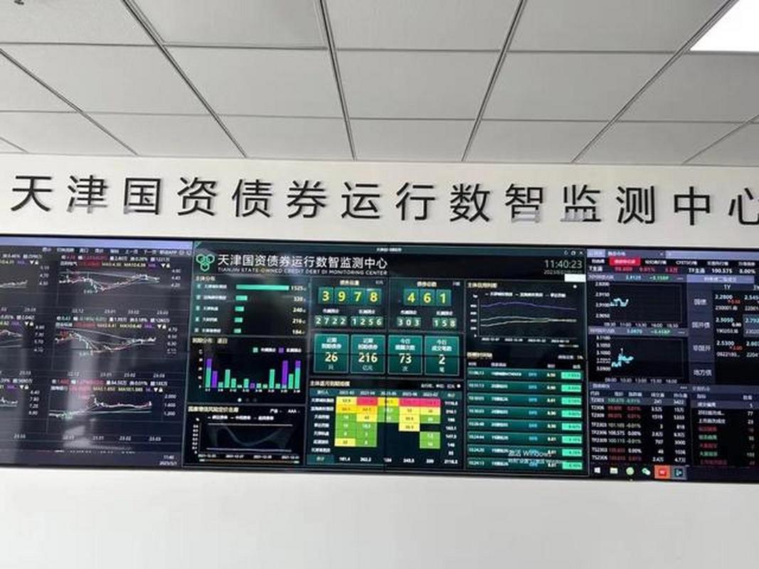 数据大屏显示债务信息